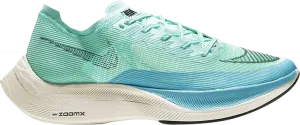 Кроссовки Nike ZoomX Vaporfly NEXT% 2 'Aurora Green', синий