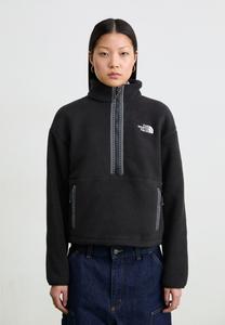 Флисовый джемпер FLEESKI 1/4 ZIP The North Face, черный