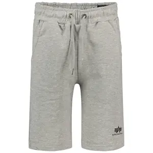 Шорты Alpha Industries Basic SL, серый