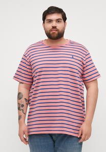 Футболка с принтом Polo Ralph Lauren Big & Tall, цвет Desert Rose/Old Royal