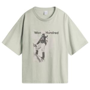 Футболка с изображением гор Хьюстона Won Hundred, washed puritan серый