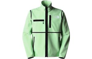 Куртка мужская зеленая The North Face, зеленый