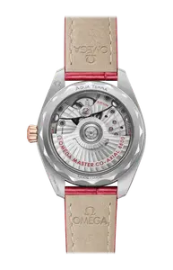 Часы Omega Aqua terra 150m 34 мм