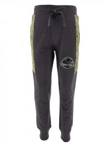 Спортивные брюки Jurassic World, антрацит