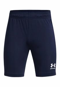 Спортивные шорты UNDER ARMOUR SHORTS UA Y CH. CORE SHORT, цвет midnight navy (410)