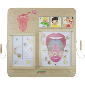 Мастеркидз, образовательная доска Чувство вкуса Masterkidz