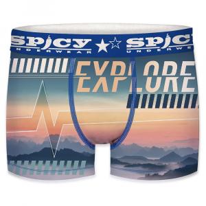 Боксеры Spicy T680-4, синий