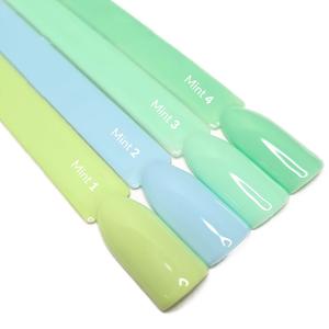 Claresa, Набор из всей коллекции гибридов мяты, 4 шт