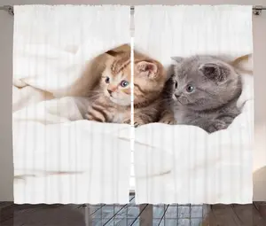 Штора ABAKUHAUS "Шотландский вислоухий котенок", рустикальное изображение, присборенная штора для спальни с петлями и крючками, 280 x 175 см, белый с серым Abakuhaus