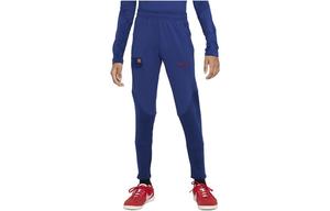 Трикотажные спортивные штаны GS Nike, синий