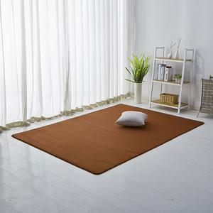 Budis Ковер 100х160 см для гостиной/спальни в современном минималистичном стиле, коралловый флис, утолщенный, кофейного цвета