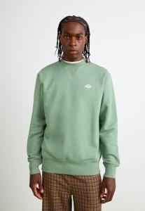Толстовка Dickies SUMMERDALE, Sea Spray/Dark Green