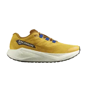 Кроссовки Salomon Aero Blaze 3 GRVL, Spicy Mustard