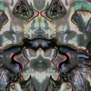 Фольга для переноса ногтей, Molly Lac