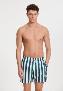 Пляжные шорты REGULAR FIT BROAD STRIPE Shiwi, темно-зеленый