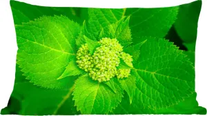 Декоративная подушка Диванная подушка Декоративная подушка для гостиной 50x30 см Фотография ботанического растения гортензия - Украшение гостиной - Подушка с фотографией MuchoWow