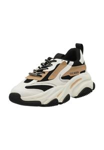 Кроссовки из кожи/текстиля STEVE MADDEN, цвет Schwarz Beige
