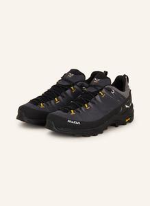 Ботинки для походов alp trainer 2 gtx Salewa, мультиколор