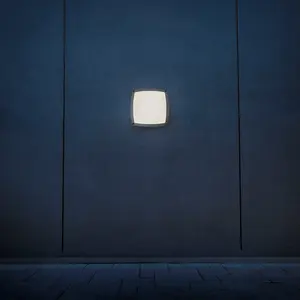 Наружный настенный светильник CHIARA E27 для улицы и помещений, алюминий, IP54, для сада, террасы и коридора Paco Home, серебряный