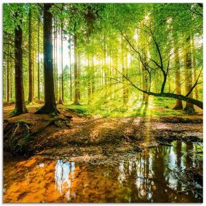 Стеклянная картина Artland Wald mit Bach, 50x50x2 см, зеленый