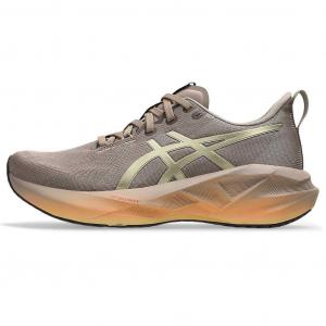 ASICS Кроссовки Novablast 5 Luxe Luxe Taupe Grey Women's