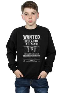 Толстовка «Беллатрикс Лестрейндж Разыскивается» Harry Potter, черный
