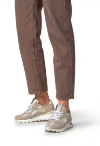 Тренеры Floris Van Bommel, Taupe