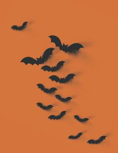 Notebook (Independently published)