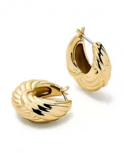 Золотые серьги-кольца - Тайми Ana Luisa, gold