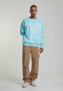 Толстовка Karl Kani, светло-голубой