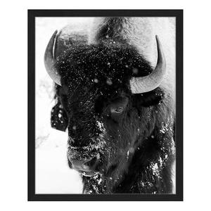 Картина Any Image Snowing black and white, 42x52x2,6 см