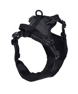 Собачья шлейка