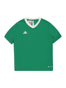 Рубашка для выступлений ADIDAS PERFORMANCE Entrada 22, трава зеленая