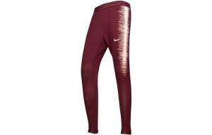 Спортивные штаны мужские бордовые Nike, цвет Burgundy