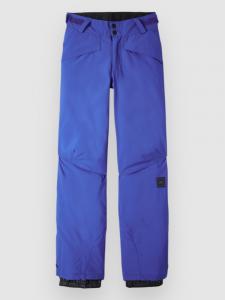 Штаны для сноуборда O'Neill Hammer Kids Hose, surf the web blue