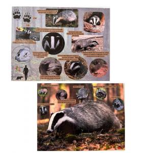 Мир барсуков, деревянные пазлы, лесное образование, интересные факты о барсуках. Inna marka