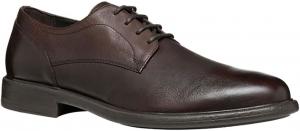 Мужские дерби-оксфорды Geox, Coffee