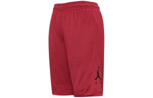 Jordan Мужские баскетбольные шорты, цвет Red