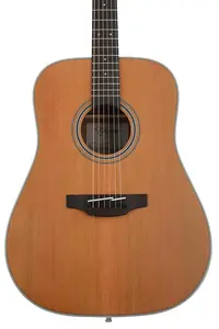 Акустическая гитара Takamine GD20 - натуральный сатин