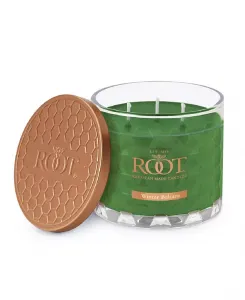 Свеча в стеклянной банке с ароматом зимнего бальзама и сотами Root Candles, forest