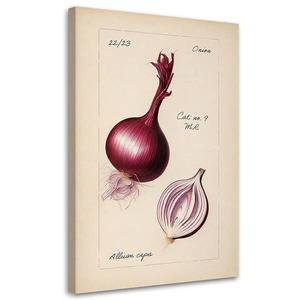 Картина арт-принт KUNSTLOFT Onion, бежевый