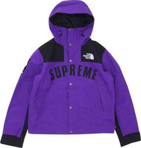 Парка Supreme x The North Face Arc Logo Mountain Parka 'Purple', фиолетовый