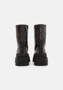 Ботильоны на шнуровке COAST Steve Madden