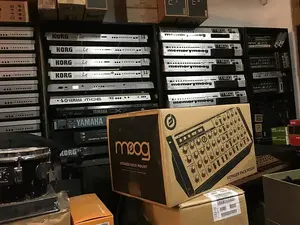 Синтезатор Moog Minimoog Voyager RME Rack Mount Edition монофонический, совершенно  //ARMENS//