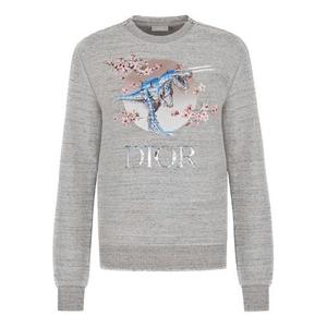 Худи DIOR Tyrannosaurus Rex Cherry Blossom Zipper Sweater Unisex Grey, серый