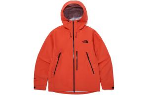 Коллекция одежды Куртка мужская Оранжевая The North Face, оранжевый