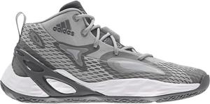 Баскетбольные кроссовки Adidas Unisex Harden Vol. 5 Futurenatural, серый