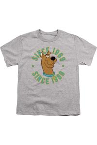 Футболка с коротким рукавом Scooby Doo Scooby 1969 для детей Gildan, Athletic Heather