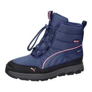 Детские ботинки Puma Evolve Puretex Jr 392647