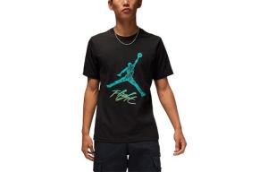 Мужская футболка Jordan, цвет Black